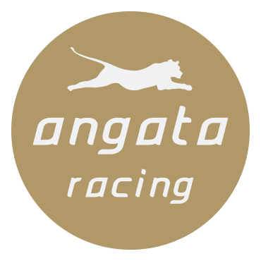 Logo Angata Racing